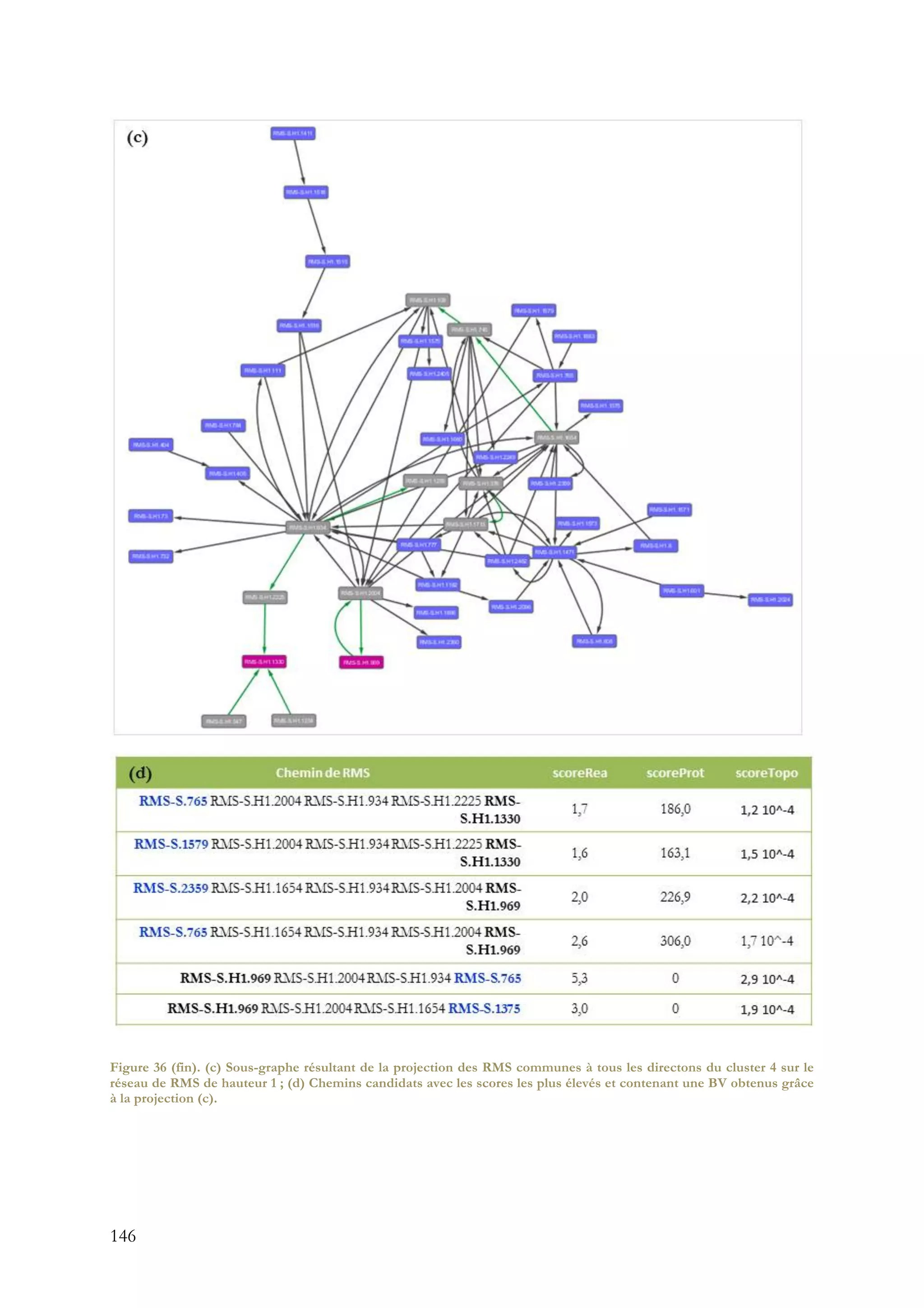 146
Figure 36 (fin). (c) Sous-graphe résultant de la projection des RMS communes à tous les directons du cluster 4 sur le
réseau de RMS de hauteur 1 ; (d) Chemins candidats avec les scores les plus élevés et contenant une BV obtenus grâce
à la projection (c).
 