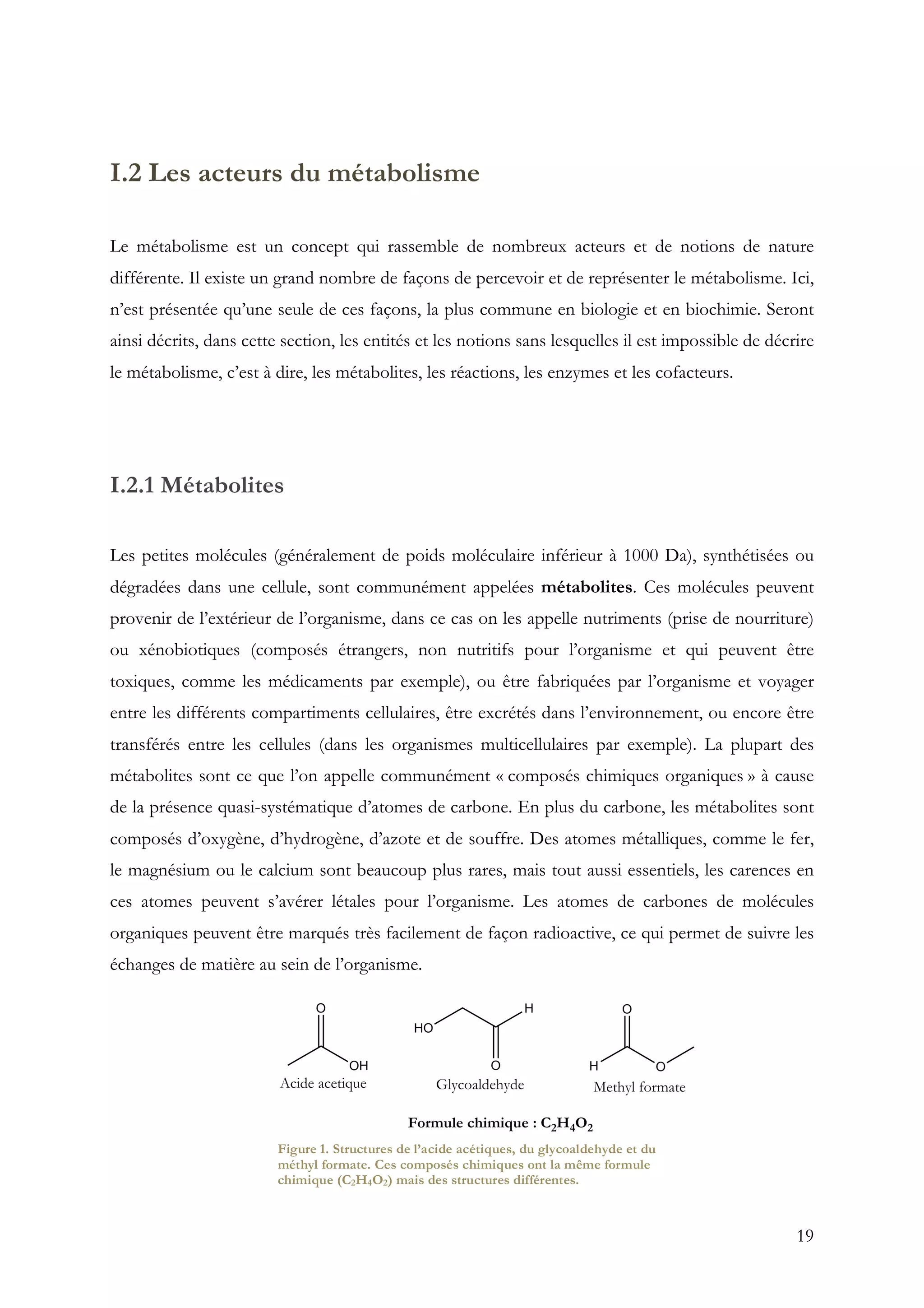 19
I.2 Les acteurs du métabolisme
Le métabolisme est un concept qui rassemble de nombreux acteurs et de notions de nature
différente. Il existe un grand nombre de façons de percevoir et de représenter le métabolisme. Ici,
n’est présentée qu’une seule de ces façons, la plus commune en biologie et en biochimie. Seront
ainsi décrits, dans cette section, les entités et les notions sans lesquelles il est impossible de décrire
le métabolisme, c’est à dire, les métabolites, les réactions, les enzymes et les cofacteurs.
I.2.1 Métabolites
Les petites molécules (généralement de poids moléculaire inférieur à 1000 Da), synthétisées ou
dégradées dans une cellule, sont communément appelées métabolites. Ces molécules peuvent
provenir de l’extérieur de l’organisme, dans ce cas on les appelle nutriments (prise de nourriture)
ou xénobiotiques (composés étrangers, non nutritifs pour l’organisme et qui peuvent être
toxiques, comme les médicaments par exemple), ou être fabriquées par l’organisme et voyager
entre les différents compartiments cellulaires, être excrétés dans l’environnement, ou encore être
transférés entre les cellules (dans les organismes multicellulaires par exemple). La plupart des
métabolites sont ce que l’on appelle communément « composés chimiques organiques » à cause
de la présence quasi-systématique d’atomes de carbone. En plus du carbone, les métabolites sont
composés d’oxygène, d’hydrogène, d’azote et de souffre. Des atomes métalliques, comme le fer,
le magnésium ou le calcium sont beaucoup plus rares, mais tout aussi essentiels, les carences en
ces atomes peuvent s’avérer létales pour l’organisme. Les atomes de carbones de molécules
organiques peuvent être marqués très facilement de façon radioactive, ce qui permet de suivre les
échanges de matière au sein de l’organisme.
Figure 1. Structures de l’acide acétiques, du glycoaldehyde et du
méthyl formate. Ces composés chimiques ont la même formule
chimique (C2H4O2) mais des structures différentes.
 