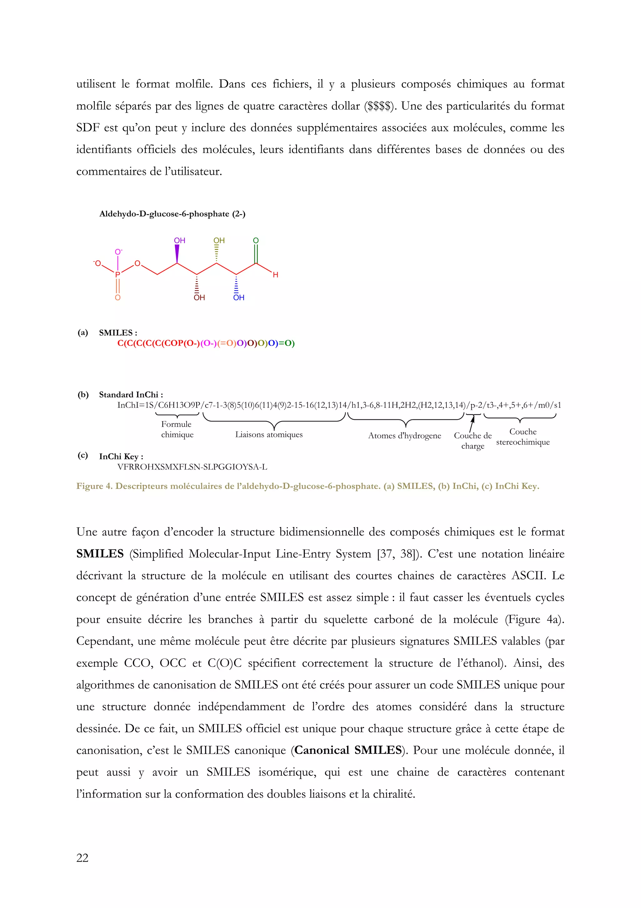 22
utilisent le format molfile. Dans ces fichiers, il y a plusieurs composés chimiques au format
molfile séparés par des lignes de quatre caractères dollar ($$$$). Une des particularités du format
SDF est qu’on peut y inclure des données supplémentaires associées aux molécules, comme les
identifiants officiels des molécules, leurs identifiants dans différentes bases de données ou des
commentaires de l’utilisateur.
Figure 4. Descripteurs moléculaires de l’aldehydo-D-glucose-6-phosphate. (a) SMILES, (b) InChi, (c) InChi Key.
Une autre façon d’encoder la structure bidimensionnelle des composés chimiques est le format
SMILES (Simplified Molecular-Input Line-Entry System [37, 38]). C’est une notation linéaire
décrivant la structure de la molécule en utilisant des courtes chaines de caractères ASCII. Le
concept de génération d’une entrée SMILES est assez simple : il faut casser les éventuels cycles
pour ensuite décrire les branches à partir du squelette carboné de la molécule (Figure 4a).
Cependant, une même molécule peut être décrite par plusieurs signatures SMILES valables (par
exemple CCO, OCC et C(O)C spécifient correctement la structure de l’éthanol). Ainsi, des
algorithmes de canonisation de SMILES ont été créés pour assurer un code SMILES unique pour
une structure donnée indépendamment de l’ordre des atomes considéré dans la structure
dessinée. De ce fait, un SMILES officiel est unique pour chaque structure grâce à cette étape de
canonisation, c’est le SMILES canonique (Canonical SMILES). Pour une molécule donnée, il
peut aussi y avoir un SMILES isomérique, qui est une chaine de caractères contenant
l’information sur la conformation des doubles liaisons et la chiralité.
 