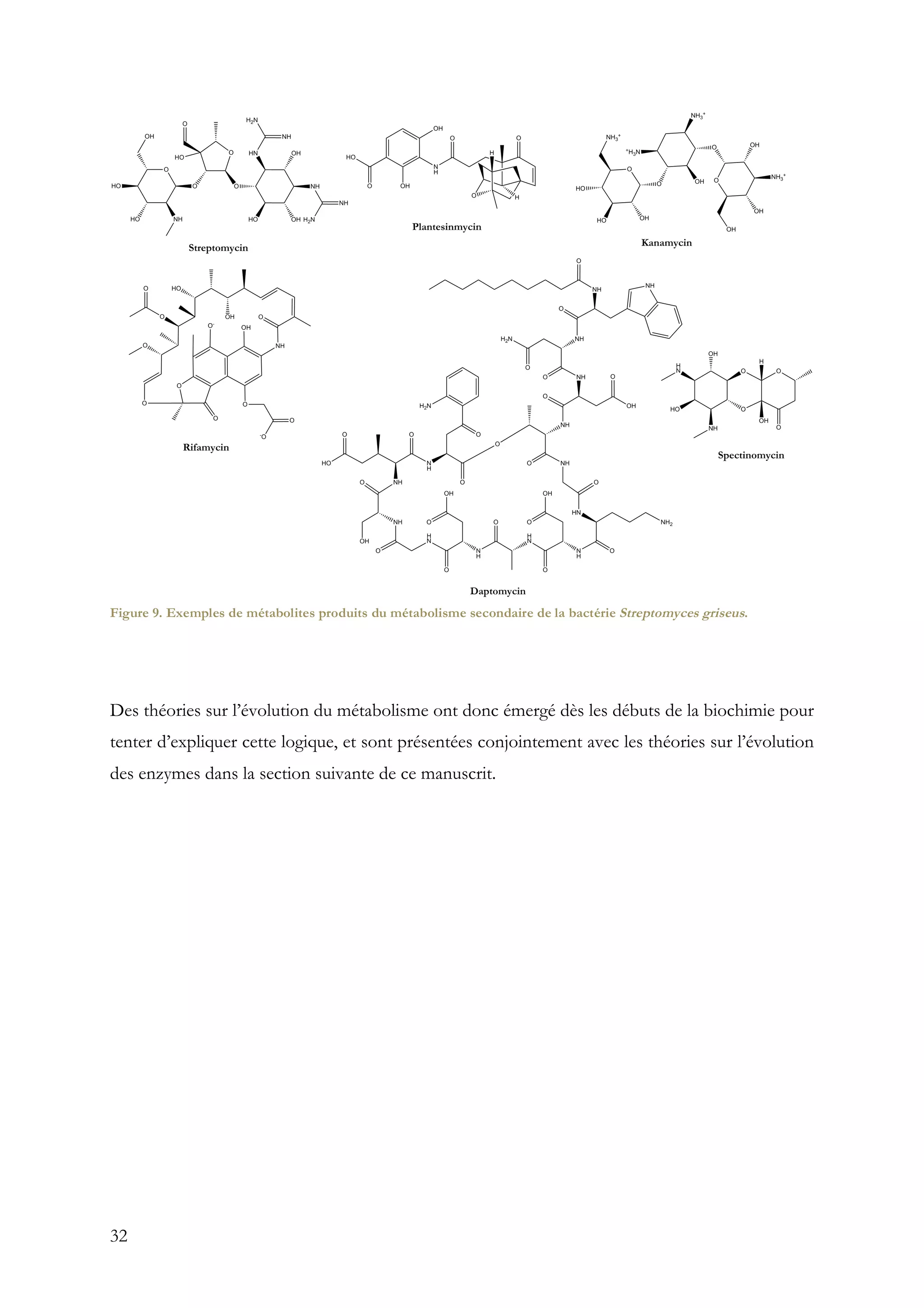 32
Des théories sur l’évolution du métabolisme ont donc émergé dès les débuts de la biochimie pour
tenter d’expliquer cette logique, et sont présentées conjointement avec les théories sur l’évolution
des enzymes dans la section suivante de ce manuscrit.
Figure 9. Exemples de métabolites produits du métabolisme secondaire de la bactérie Streptomyces griseus.
 