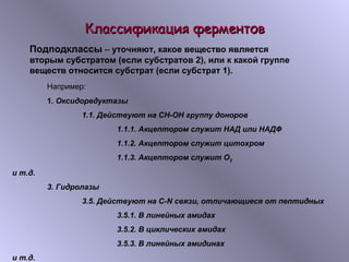 ККллаассссииффииккаацциияя ффееррммееннттоовв 
Подподклассы – уточняют, какое вещество является 
вторым субстратом (если субстратов 2), или к какой группе 
веществ относится субстрат (если субстрат 1). 
Например: 
1. Оксидоредуктазы 
1.1. Действуют на СН-ОН группу доноров 
1.1.1. Акцептором служит НАД или НАДФ 
1.1.2. Акцептором служит цитохром 
1.1.3. Акцептором служит О2 
и т.д. 
3. Гидролазы 
3.5. Действуют на С-N связи, отличающиеся от пептидных 
3.5.1. В линейных амидах 
3.5.2. В циклических амидах 
3.5.3. В линейных амидинах 
и т.д. 
 
