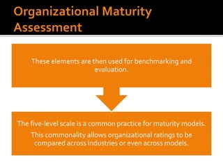 071 Maturity Assessment | PPTX