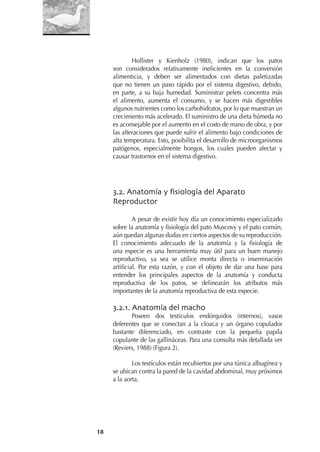 18
Hollister y Kienholz (1980), indican que los patos
son considerados relativamente ineﬁcientes en la conversión
alimenticia, y deben ser alimentados con dietas paletizadas
que no tienen un paso rápido por el sistema digestivo, debido,
en parte, a su baja humedad. Suministrar pelets concentra más
el alimento, aumenta el consumo, y se hacen más digestibles
algunos nutrientes como los carbohidratos, por lo que muestran un
crecimiento más acelerado. El suministro de una dieta húmeda no
es aconsejable por el aumento en el costo de mano de obra, y por
las alteraciones que puede sufrir el alimento bajo condiciones de
alta temperatura. Esto, posibilita el desarrollo de microorganismos
patógenos, especialmente hongos, los cuales pueden afectar y
causar trastornos en el sistema digestivo.
3.2. Anatomía y ﬁsiología del Aparato
Reproductor
A pesar de existir hoy día un conocimiento especializado
sobre la anatomía y ﬁsiología del pato Muscovy y el pato común,
aún quedan algunas dudas en ciertos aspectos de su reproducción.
El conocimiento adecuado de la anatomía y la ﬁsiología de
una especie es una herramienta muy útil para un buen manejo
reproductivo, ya sea se utilice monta directa o inseminación
artiﬁcial. Por esta razón, y con el objeto de dar una base para
entender los principales aspectos de la anatomía y conducta
reproductiva de los patos, se delinearán los atributos más
importantes de la anatomía reproductiva de esta especie.
3.2.1. Anatomía del macho
Poseen dos testículos endórquidos (internos), vasos
deferentes que se conectan a la cloaca y un órgano copulador
bastante diferenciado, en contraste con la pequeña papila
copulante de las gallináceas. Para una consulta más detallada ver
(Reviers, 1988) (Figura 2).
Los testículos están recubiertos por una túnica albugínea y
se ubican contra la pared de la cavidad abdominal, muy próximos
a la aorta.
 