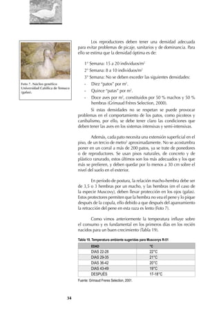 34
Los reproductores deben tener una densidad adecuada
para evitar problemas de picaje, sanitarios y de dominancia. Para
ello se estima que la densidad óptima es de:
1° Semana: 15 a 20 individuos/m2
2° Semana: 8 a 10 individuos/m2
3° Semana: No se deben exceder las siguientes densidades:
- Diez “patos” por m2
.
- Quince “patas” por m2
.
- Doce aves por m2
, constituidos por 50 % machos y 50 %
hembras (Grimaud Frères Selection, 2000).
Si estas densidades no se respetan se puede provocar
problemas en el comportamiento de los patos, como picoteos y
canibalismo, por ello, se debe tener claro las condiciones que
deben tener las aves en los sistemas intensivas y semi-intensivas.
Además, cada pato necesita una extensión superﬁcial en el
piso, de un tercio de metro2
aproximadamente. No se acostumbra
poner en un corral a más de 200 patos, ya se trate de ponedores
o de reproductores. Se usan pisos naturales, de concreto y de
plástico ranurado, estos últimos son los más adecuados y los que
más se preﬁeren, y deben quedar por lo menos a 30 cm sobre el
nivel del suelo en el exterior.
En período de postura, la relación macho-hembra debe ser
de 3,5 o 3 hembras por un macho, y las hembras (en el caso de
la especie Muscovy), deben llevar protección en los ojos (gafas).
Estos protectores permiten que la hembra no vea el pene y lo pique
después de la copula, ello debido a que después del apareamiento
la retracción del pene en esta raza es lento (Foto 7).
Como vimos anteriormente la temperatura inﬂuye sobre
el consumo y es fundamental en los primeros días en los recién
nacidos para un buen crecimiento (Tabla 19).
Tabla 19. Temperatura ambiente sugeridas para Muscovys R-51
EDAD °C
DIAS 22-28 22°C
DIAS 29-35 21°C
DIAS 36-42 20°C
DIAS 43-49 19°C
DESPUÉS 17-18°C
Fuente: Grimaud Freres Selection, 2001.
Foto 7. Núcleo genético
Universidad Católica de Temuco
(gafas).
 