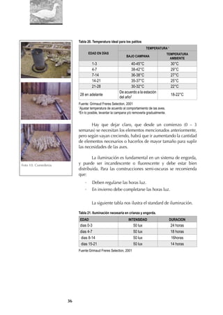 36
Tabla 20. Temperatura ideal para los patitos
EDAD EN DÍAS
TEMPERATURA 1
BAJO CAMPANA
TEMPERATURA
AMBIENTE
1-3 40-45°C 30°C
4-7 38-42°C 29°C
7-14 36-38°C 27°C
14-21 35-37°C 25°C
21-28 30-32°C 22°C
28 en adelante
De acuerdo a la estación
del año2 18-22°C
Fuente: Grimaud Freres Selection, 2001
1
Ajustar temperatura de acuerdo al comportamiento de las aves.
2
En lo posible, levantar la campana y/o removerla gradualmente.
Hay que dejar claro, que desde un comienzo (0 – 3
semanas) se necesitan los elementos mencionados anteriormente,
pero según vayan creciendo, habrá que ir aumentando la cantidad
de elementos necesarios o hacerlos de mayor tamaño para suplir
las necesidades de las aves.
La iluminación es fundamental en un sistema de engorda,
y puede ser incandescente o ﬂuorescente y debe estar bien
distribuida. Para las construcciones semi-oscuras se recomienda
que:
· Deben regularse las horas luz.
· En invierno debe completarse las horas luz.
La siguiente tabla nos ilustra el standard de iluminación.
Tabla 21. Iluminación necesaria en crianza y engorda.
EDAD INTENSIDAD DURACION
dias 0-3 50 lux 24 horas
dias 4-7 50 lux 18 horas
dias 8-14 50 lux 16horas
dias 15-21 50 lux 14 horas
Fuente:Grimaud Freres Selection, 2001
Foto 10. Comederos
 