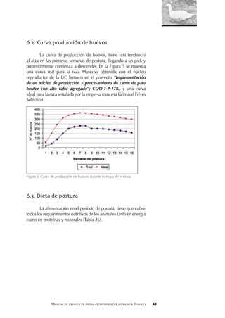 MANUAL DE CRIANZA DE PATOS - UNIVERSIDAD CATÓLICA DE TEMUCO 41
6.2. Curva producción de huevos
La curva de producción de huevos, tiene una tendencia
al alza en las primeras semanas de postura, llegando a un pick y
posteriormente comienza a descender. En la Figura 5 se muestra
una curva real para la raza Muscovy obtenida con el núcleo
reproductor de la UC Temuco en el proyecto “Implementación
de un núcleo de producción y procesamiento de carne de pato
broiler con alto valor agregado”; COO-1-P-178., y una curva
ideal para la raza señalada por la empresa francesa Grimaud Frères
Selection.
Figura 5. Curva de producción de huevos durante la etapa de postura.
6.3. Dieta de postura
La alimentación en el período de postura, tiene que cubrir
todos los requerimientos nutritivos de los animales tanto en energía
como en proteínas y minerales (Tabla 26).
Nºdehuevos
 