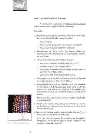 46
Foto 14. Revisión de los huevos.
6.6. Incubación de los huevos
A continuación se presenta un Protocolo de incubación
(algunos manejos son propios de la raza Muscovy).
Protocolo
1. Tratamiento y clasiﬁcación de huevos: antes de la incubación,
los huevos son clasiﬁcados en tres categorías:
· huevos limpios
· huevos sucios, que pueden ser limpiados e incubados
· huevos sucios, que no pueden ser incubados
2. Desinfección de áreas: todos los huevos deben ser
desinfectados antes de entrar a la sala de almacenaje o al área
de incubación.
3. Almacenaje de huevos antes de la incubación:
· temperatura de la sala de almacenaje: 12º a 15º C.
· humedad mayor a 70% y menor a 80%.
· almacenaje de huevos en las bandejas enrejadas con la
punta del huevo hacia abajo.
· ventilación: 0,05 m3
/ hora para 1000 huevos.
3. Tiempos de incubación: la duración de la incubación depende
de la raza, Muscovy 35 días y Pekín 28 días.
4. Los parámetro de incubación dependen de la raza, en donde
lo importante es la temperatura que debe ser de 37,35º C.;
entrada para aire fresco, una salida de la incubadora para
remover el aire sucio, un sistema de rotación automática de
huevos.
Para el caso de la raza Muscovy los huevos deben ser enfriados
a partir del día 13.
5. Revisión de huevos: esto consiste en eliminar los huevos
no fertilizados y los embriones muertos en el inicio de la
incubación (Foto 14).
6. Nacimiento: los huevos deben ser transferidos a la nacedora el
día 32 para el caso de los patos Muscovy.
Todo este proceso requiere de un manejo de humedad y
temperatura, por lo que los equipos deben cumplir con los
estándares requeridos para ello.
Huevos Infértiles
 