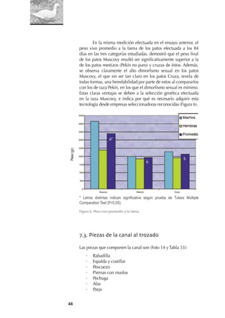 48
En la misma medición efectuada en el ensayo anterior, el
peso vivo promedio a la faena de los patos efectuada a los 84
días en las tres categorías estudiadas, demostró que el peso ﬁnal
de los patos Muscovy resultó ser signiﬁcativamente superior a la
de los patos mestizos (Pekín no puro) y cruzas de éstos. Además,
se observa claramente el alto dimorﬁsmo sexual en los patos
Muscovy, el que sin ser tan claro en los patos Cruza, revela de
todas formas, una heredabilidad por parte de estos al compararlos
con los de raza Pekín, en los que el dimorﬁsmo sexual es mínimo.
Estas claras ventajas se deben a la selección genética efectuada
en la raza Muscovy, e indica por qué es necesario adquirir esta
tecnología desde empresas seleccionadoras reconocidas (Figura 6).
* Letras distintas indican significativa según prueba de Tukeis Multiple
Comparation Test (P<0,05).
Figura 6. Peso vivo promedio a la faena.
7.3. Piezas de la canal al trozado
Las piezas que componen la canal son (Foto 14 y Tabla 33):
· Rabadilla
· Espalda y costillar
· Pescuezo
· Piernas con muslos
· Pechuga
· Alas
· Patas
Peso(gr)
a*
b
b
 