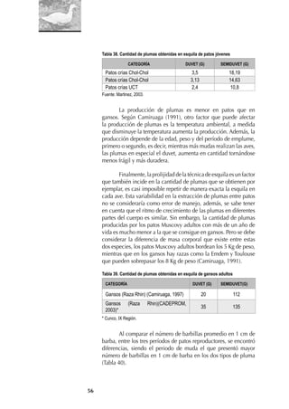 56
Tabla 38. Cantidad de plumas obtenidas en esquila de patos jóvenes
CATEGORÍA DUVET (G) SEMIDUVET (G)
Patos crías Chol-Chol 3,5 18,19
Patos crías Chol-Chol 3,13 14,63
Patos crías UCT 2,4 10,8
Fuente: Martinez, 2003.
La producción de plumas es menor en patos que en
gansos. Según Camiruaga (1991), otro factor que puede afectar
la producción de plumas es la temperatura ambiental, a medida
que disminuye la temperatura aumenta la producción. Además, la
producción depende de la edad, peso y del período de emplume,
primero o segundo, es decir, mientras más mudas realizan las aves,
las plumas en especial el duvet, aumenta en cantidad tornándose
menos frágil y más duradera.
Finalmente, la prolijidad de la técnica de esquila es un factor
que también incide en la cantidad de plumas que se obtienen por
ejemplar, es casi imposible repetir de manera exacta la esquila en
cada ave. Esta variabilidad en la extracción de plumas entre patos
no se consideraría como error de manejo, además, se sabe tener
en cuenta que el ritmo de crecimiento de las plumas en diferentes
partes del cuerpo es similar. Sin embargo, la cantidad de plumas
producidas por los patos Muscovy adultos con más de un año de
vida es mucho menor a la que se consigue en gansos. Pero se debe
considerar la diferencia de masa corporal que existe entre estas
dos especies, los patos Muscovy adultos bordean los 5 Kg de peso,
mientras que en los gansos hay razas como la Emdem y Toulouse
que pueden sobrepasar los 8 Kg de peso (Camiruaga, 1991).
Tabla 39. Cantidad de plumas obtenidas en esquila de gansos adultos
CATEGORÍA DUVET (G) SEMIDUVET(G)
Gansos (Raza Rhin) (Camiruaga, 1997) 20 112
Gansos (Raza Rhin)(CADEPROM,
2003)*
35 135
* Cunco, IX Región.
Al comparar el número de barbillas promedio en 1 cm de
barba, entre los tres períodos de patos reproductores, se encontró
diferencias, siendo el periodo de muda el que presentó mayor
número de barbillas en 1 cm de barba en los dos tipos de pluma
(Tabla 40).
 