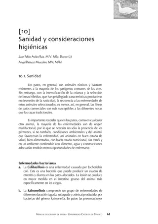 MANUAL DE CRIANZA DE PATOS - UNIVERSIDAD CATÓLICA DE TEMUCO 61
[10]
Sanidad y consideraciones
higiénicas
Juan Pablo Avilez Ruiz. M.V. MSc. Doctor (c)
Angel Patitucci Muscolini, MV, MPhil
10.1. Sanidad
Los patos, en general, son animales rústicos y bastante
resistentes a la mayoría de los patógenos comunes de las aves.
Sin embargo, con la intensiﬁcación de la crianza y la selección
de líneas híbridas, que han privilegiado características productivas
en desmedro de la rusticidad, la resistencia a las enfermedades de
estos animales seleccionados, es menor, así, en general, las líneas
de patos comerciales son más susceptibles a las diferentes noxas
que las razas tradicionales.
Es importante recordar que en los patos, como en cualquier
otro animal, la mayoría de las enfermedades son de origen
multifactorial, por lo que se necesita no sólo la presencia de los
gérmenes, si no también, condiciones ambientales y del animal
que favorezcan la enfermedad. Así animales en buen estado de
salud, bien alimentados, con buen estado nutricional, sin estrés y
en un ambiente confortable con alimento, agua y construcciones
adecuadas tendrán menos oportunidades de enfermarse.
Enfermedades bacterianas
a. La Colibacillosis es una enfermedad causada por Escherichia
coli. Esta es una bacteria que puede producir un cuadro de
enteritis y diarrea en los patos afectados. La lesión se produce
en mayor medida en el intestino grueso del animal más
especíﬁcamente en los ciegos.
b. La Salmonellosis comprende un grupo de enfermedades de
diferentes duración (aguda, subaguda y crónica) producidas por
bacterias del género Salmonella. En patos las presentaciones
 
