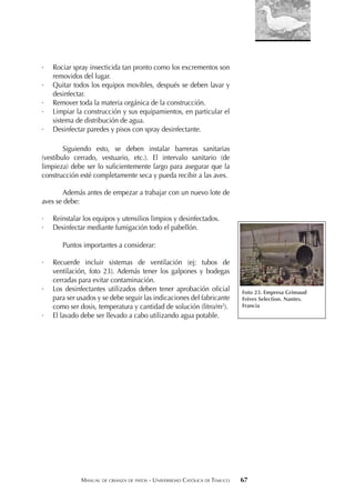 MANUAL DE CRIANZA DE PATOS - UNIVERSIDAD CATÓLICA DE TEMUCO 67
· Rociar spray insecticida tan pronto como los excrementos son
removidos del lugar.
· Quitar todos los equipos movibles, después se deben lavar y
desinfectar.
· Remover toda la materia orgánica de la construcción.
· Limpiar la construcción y sus equipamientos, en particular el
sistema de distribución de agua.
· Desinfectar paredes y pisos con spray desinfectante.
Siguiendo esto, se deben instalar barreras sanitarias
(vestíbulo cerrado, vestuario, etc.). El intervalo sanitario (de
limpieza) debe ser lo suﬁcientemente largo para asegurar que la
construcción esté completamente seca y pueda recibir a las aves.
Además antes de empezar a trabajar con un nuevo lote de
aves se debe:
· Reinstalar los equipos y utensilios limpios y desinfectados.
· Desinfectar mediante fumigación todo el pabellón.
Puntos importantes a considerar:
· Recuerde incluir sistemas de ventilación (ej: tubos de
ventilación, foto 23). Además tener los galpones y bodegas
cerradas para evitar contaminación.
· Los desinfectantes utilizados deben tener aprobación oﬁcial
para ser usados y se debe seguir las indicaciones del fabricante
como ser dosis, temperatura y cantidad de solución (litro/m2
).
· El lavado debe ser llevado a cabo utilizando agua potable.
Foto 23. Empresa Grimaud
Frères Selection. Nantes.
Francia
 