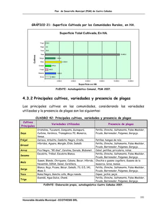 Plan de Desarrollo Municipal (PDM) de Cuatro Cañadas




          GRÁFICO 21: Superficie Cultivada por las Comunidades Rurales, en HA.

                                                            Superficie Total Cultivada, En HA.


                        Trigo        50,0

                         Papa        9,5

                         Yuca        30,5

                         Soya                                                                                                    10.465,0
           Cultivos




                        Sorgo                           1.443,0

                         Maiz                                     2.332,5

                       Girasol                  875,0

                        Frejol              445,5

                      Sésamo                            1.525,5

                        Árroz                  806,5

                                 -                      2.000,0             4.000,0        6.000,0       8.000,0      10.000,0              12.000,0

                                                                                      Superficie en HA

                                                        FUENTE: Autodiagnóstico Comunal, PDM 2007.



 4.3.2 Principales cultivos, variedades y presencia de plagas

 Los principales cultivos en las comunidades, considerando las variedades
 utilizadas y la presencia de plagas son los siguientes:

                  CUADRO 42: Principales cultivos, variedades y presencia de plagas
 Cultivos
                                               Variedades Utilizadas                                               Presencia de plagas
Principales
                      Cristalina, Tucunaré, Conquista, Guinapurú,                                    Petilla, Chinche, Saltamonte, Falso Medidor,
Soya                  Curbina, Verónica, Transgénica 70, Monarca,                                    Picudo, Barrenador, Pulgones, Gorgojo.
                      Venus.
Fréjol                Carioca, Arbolito, Cambita, Negro, Criollo.        Petillas, hongos de raíz.
                      Híbridos, Aguara, Morgán, Elión, Dekalb            Petilla, Chinche, Saltamonte, Falso Medidor,
Girasol
                                                                         Picudo, Barrenador, Pulgones, Gorgojo.
Arroz                 Pico Negro, “90 días”, Carolina, Dorado, Blubonet. Ceboí, petillas, piricularia, ratas.
                      Escobita, Trébol, Escobita Blanca.                 Petilla, Chinche, Saltamonte, Falso Medidor,
Sesamo
                                                                         Picudo, Barrenador, Pulgones, Gorgojo.
                      Suwan, Blando, Chiriguano, Cubano, Becar, Híbrido, Chochis o gusano cogollero, Gusano de la
Maíz
                      Noventón, DINA, Denal, Cordillera.                 mazorca, loros, monos.
                      Blanco, Rojo, Picano, Bécar, Dekalb, 73, 0.5, 141, Petilla, Chinche, Saltamonte, Falso Medidor,
Sorgo
                      Masa 3.                                            Picudo, Barrenador, Pulgones, Gorgojo.
Yuca                  Rama Negra, Gancho colla, Moja rosada.             Cepes, jochis, pejis.
                      Guendá, Agua Dulce, Chané.                         Petilla, Chinche, Saltamonte, Falso Medidor,
Trigo
                                                                         Picudo, Barrenador, Pulgones, Gorgojo.
                             FUENTE: Elaboración propia, autodiagnóstico Cuatro Cañadas 2007.




                                                                                                                                                       101
 Honorable Alcaldía Municipal - ECOTHESIS SRL
 