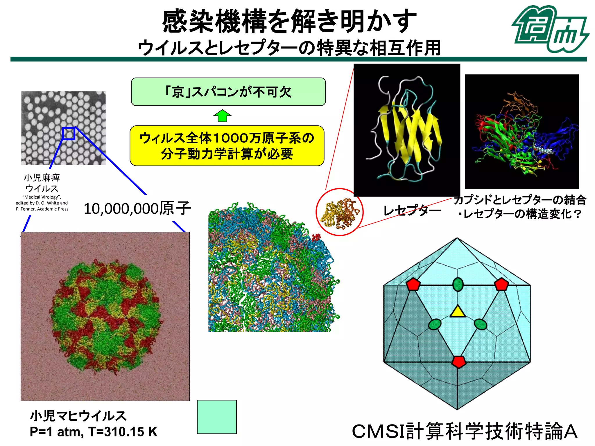 感染機構を解き明かす
ウイルスとレセプターの特異な相互作用
「京」スパコンが不可欠
ウィルス全体１０００万原子系の
分子動力学計算が必要
小児麻痺
ウイルス
“Medical Virology”,
edited by D. O. White and
F. Fenner, Academic Press

10,000,000原子

小児マヒウイルス
P=1 atm, T=310.15 K

レセプター

カプシドとレセプターの結合
・レセプターの構造変化？

ＣＭＳＩ計算科学技術特論Ａ

 