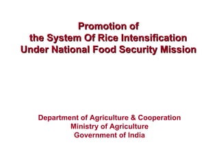 Promotion of  the System Of Rice Intensification  Under National Food Security Mission   Department of Agriculture & Cooperation Ministry of Agriculture Government of India 