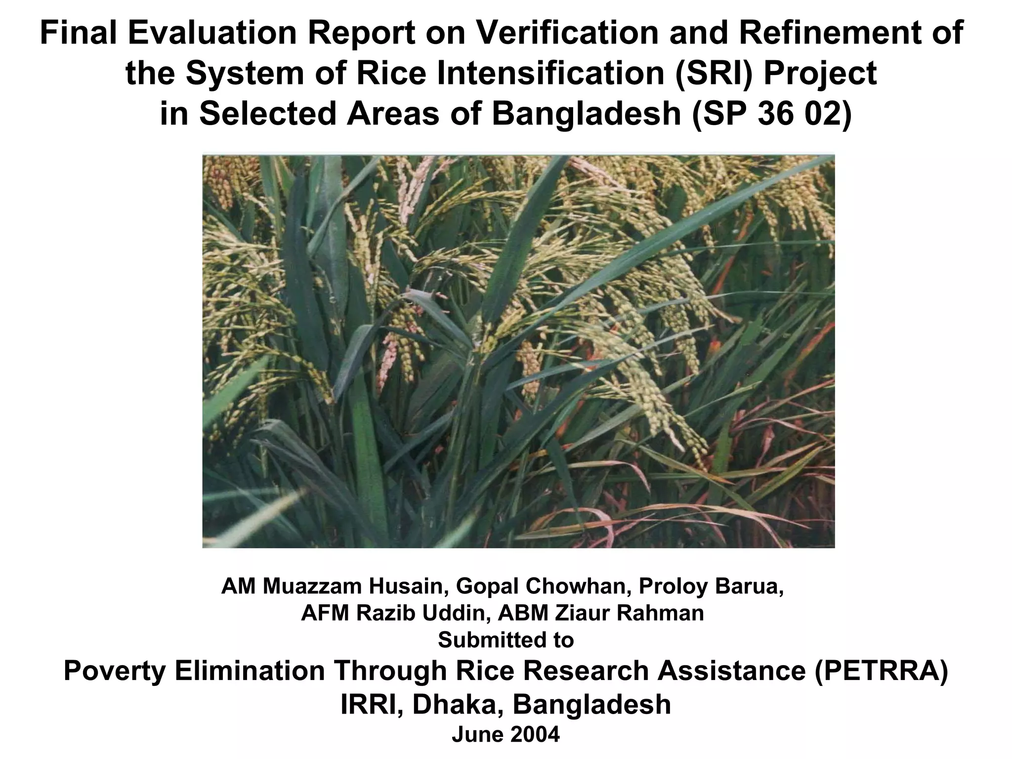 Final Evaluation Report on Verification and Refinement of  the System of Rice Intensification (SRI) Project  in Selected Areas of Bangladesh (SP 36 02) AM Muazzam Husain, Gopal Chowhan, Proloy Barua,  AFM Razib Uddin, ABM Ziaur Rahman  Submitted to Poverty Elimination Through Rice Research Assistance (PETRRA) IRRI, Dhaka, Bangladesh June 2004 