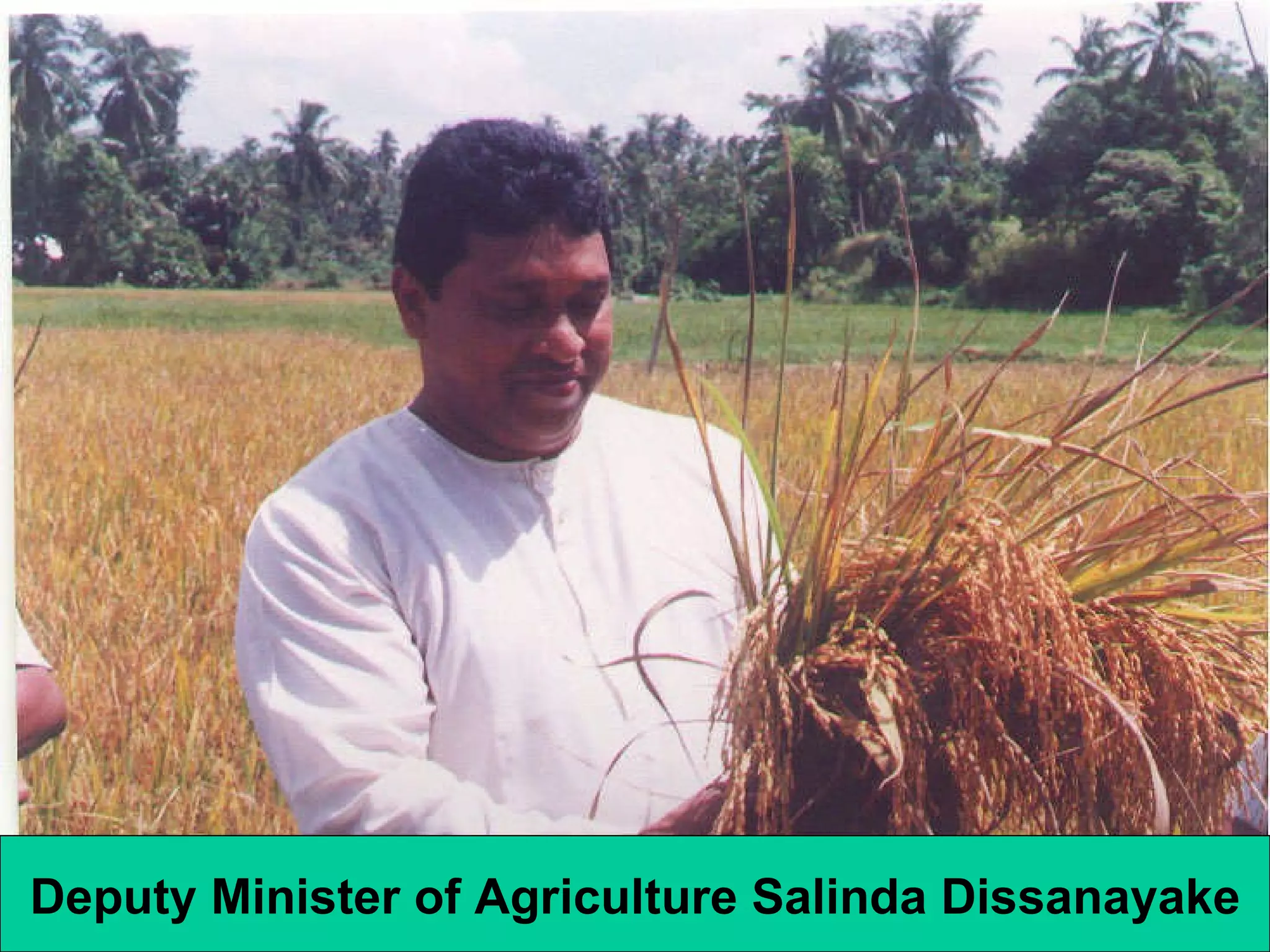 Deputy Minister of Agriculture Salinda Dissanayake 