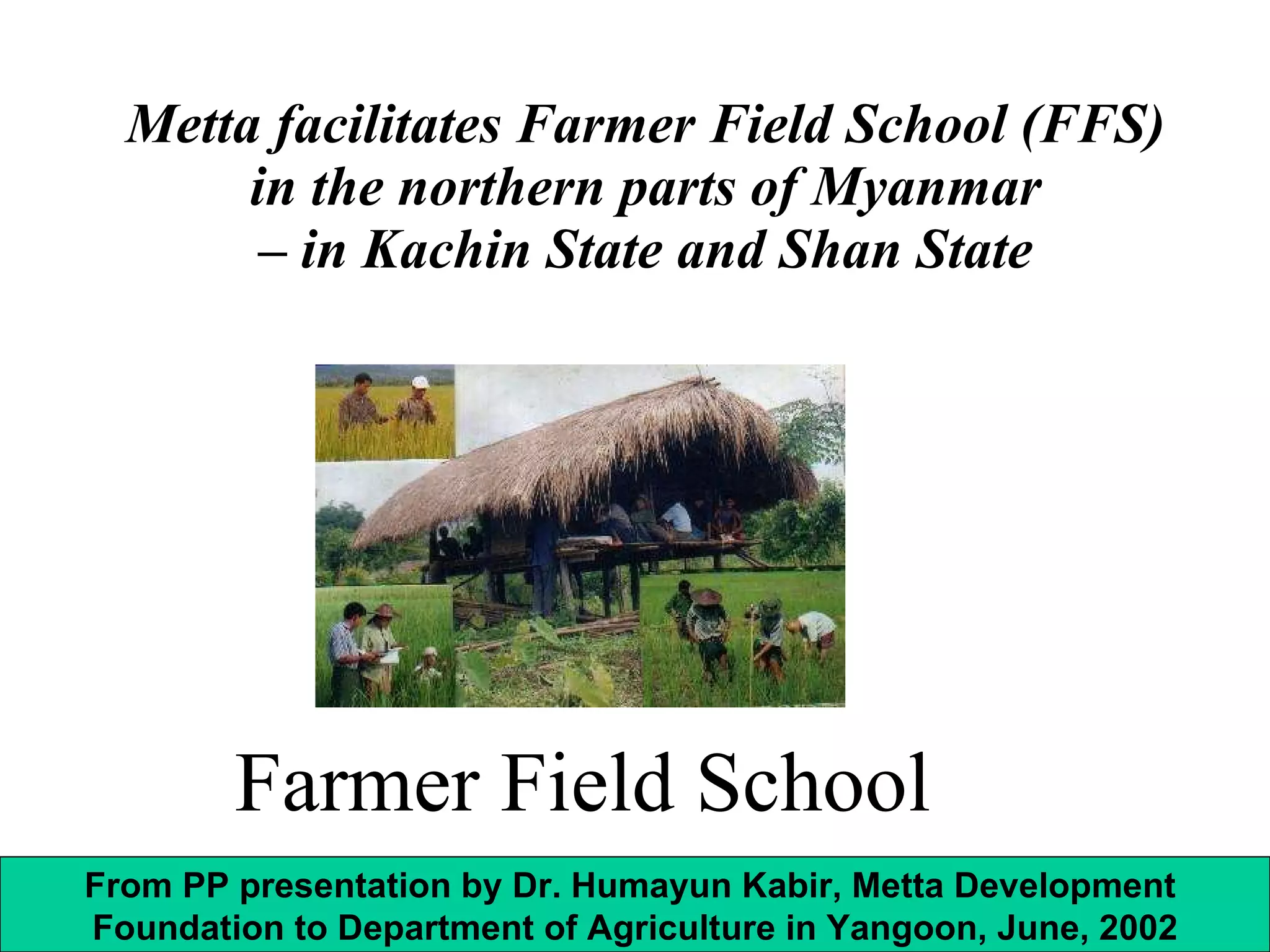 Metta facilitates Farmer Field School (FFS) in the northern parts of Myanmar – in Kachin State and Shan State Farmer Field School From PP presentation by Dr. Humayun Kabir, Metta Development  Foundation to Department of Agriculture in Yangoon, June, 2002 