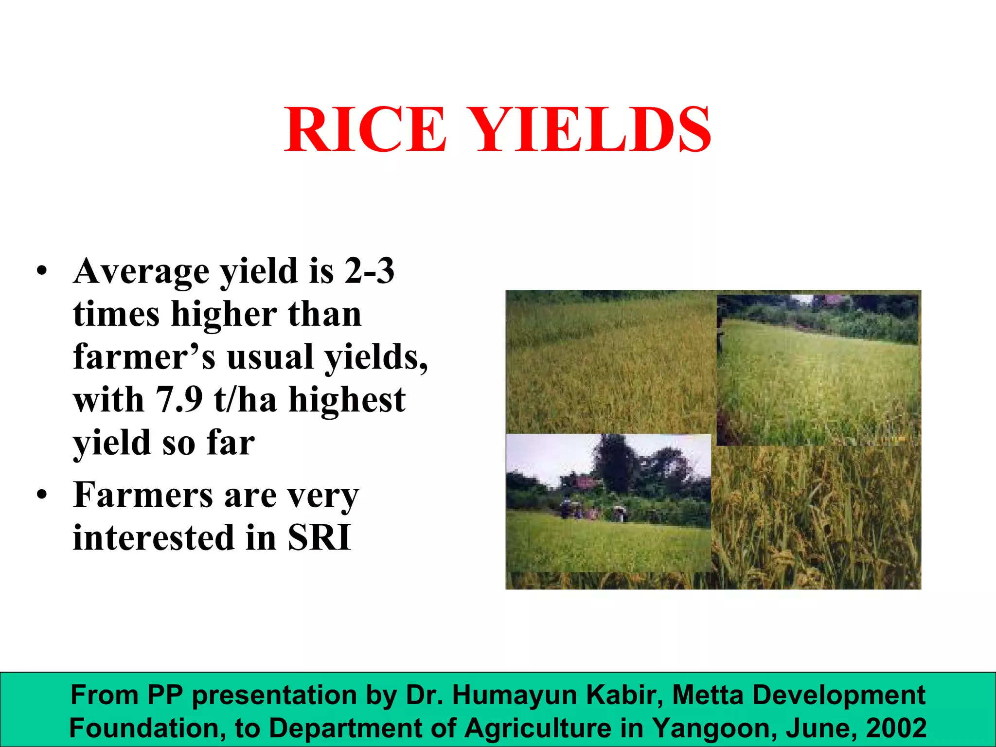 RICE YIELDS Average yield is 2-3 times higher than farmer’s usual yields, with 7.9 t/ha highest yield so far Farmers are very interested in SRI From PP presentation by Dr. Humayun Kabir, Metta Development Foundation, to Department of Agriculture in Yangoon, June, 2002 