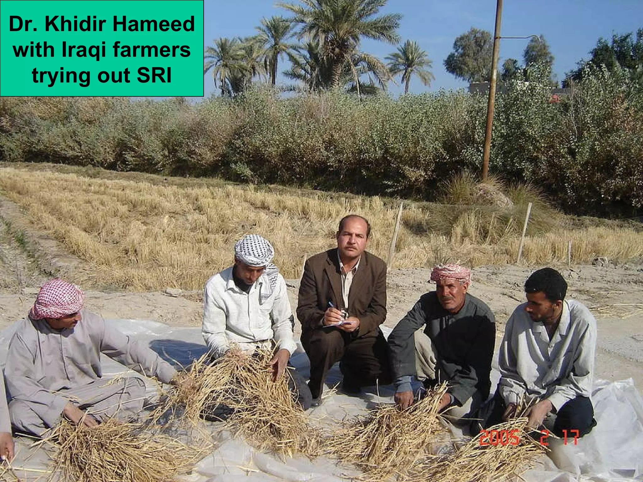 Dr. Khidir Hameed with Iraqi farmers trying out SRI 