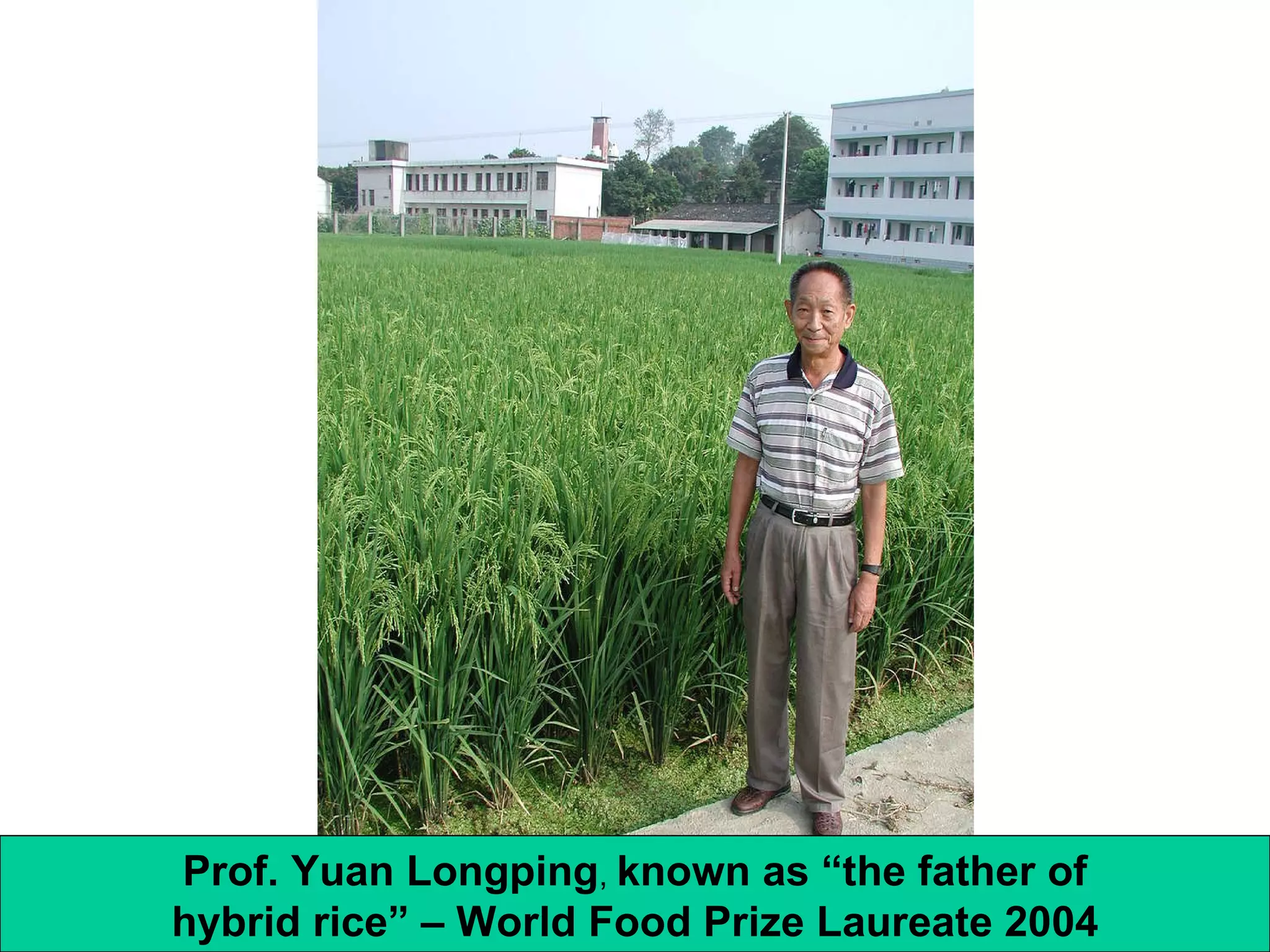 Prof. Yuan Longping ,  known as “the father of hybrid rice” – World Food Prize Laureate 2004 