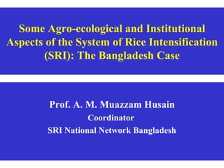 Some Agro-ecological and Institutional Aspects of the System of Rice Intensification (SRI): The Bangladesh Case Prof. A. M. Muazzam Husain Coordinator  SRI National Network Bangladesh 