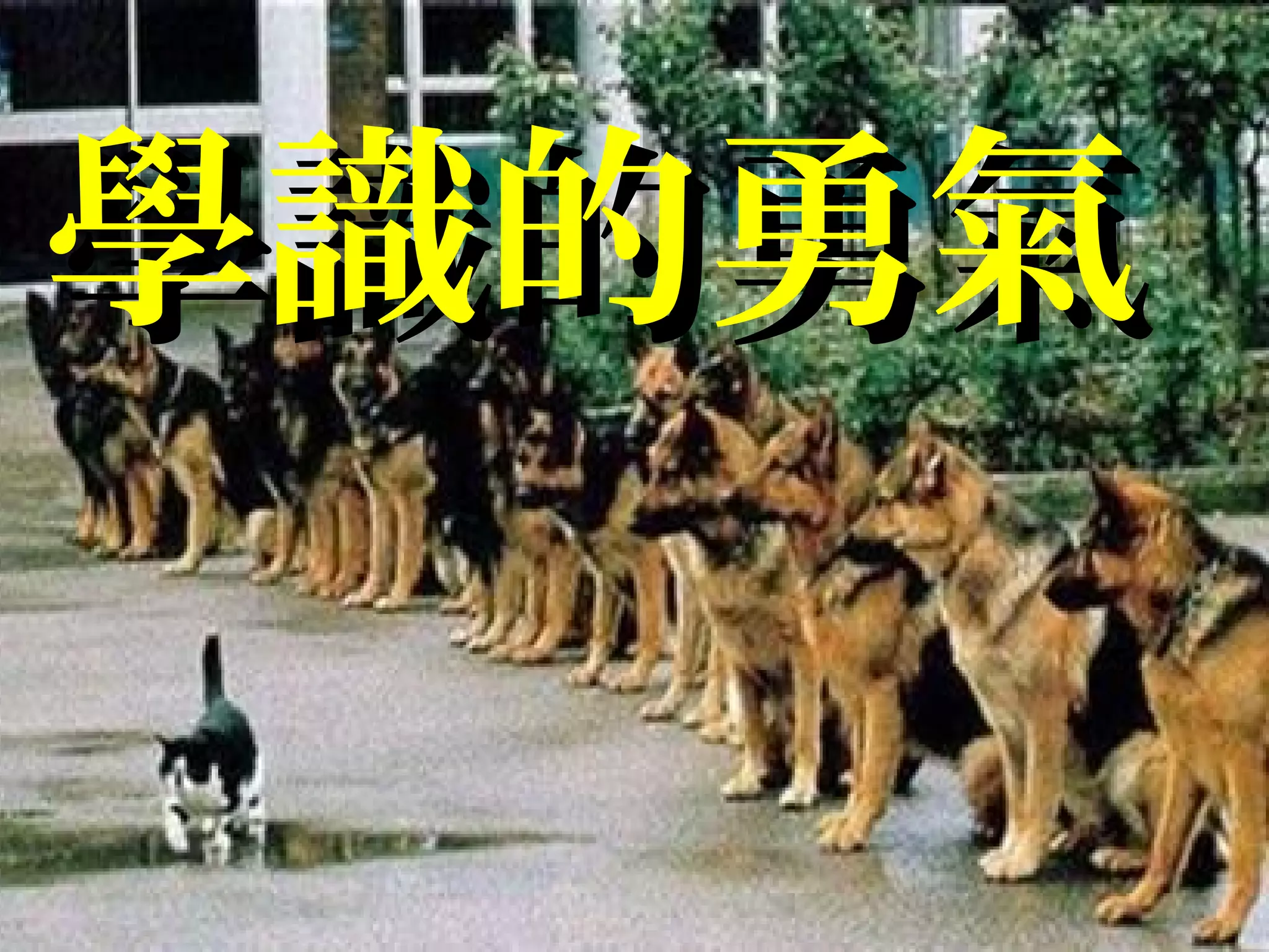 學識的勇氣學識的勇氣
 