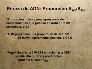 Pureza de ADN: Proporción A260/A280
*Proporción indica pureza/presencia de
contaminantes que pueden absorber luz UV
(proteínas, etc.)
*ADN puro tiene una proporción de ≈ 1.7-2.0
--en buffer ligeramente alcalino, pH 7.5
*Fenol absorbe a 270-275 nm (similar a ADN)
--imita alta pureza y producción
--aumenta el valor A260
 