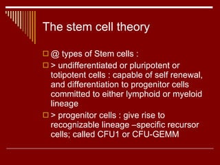 The stem cell theory @ types of Stem cells :  > undifferentiated or pluripotent or totipotent cells : capable of self renewal, and differentiation to progenitor cells committed to either lymphoid or myeloid lineage > progenitor cells : give rise to recognizable lineage –specific recursor cells; called CFU1 or CFU-GEMM 