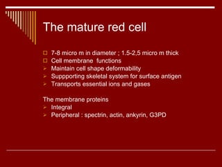 The mature red cell 7-8 micro m in diameter ; 1.5-2,5 micro m thick Cell membrane  functions Maintain cell shape deformability Suppporting skeletal system for surface antigen Transports essential ions and gases The membrane proteins Integral Peripheral : spectrin, actin, ankyrin, G3PD  