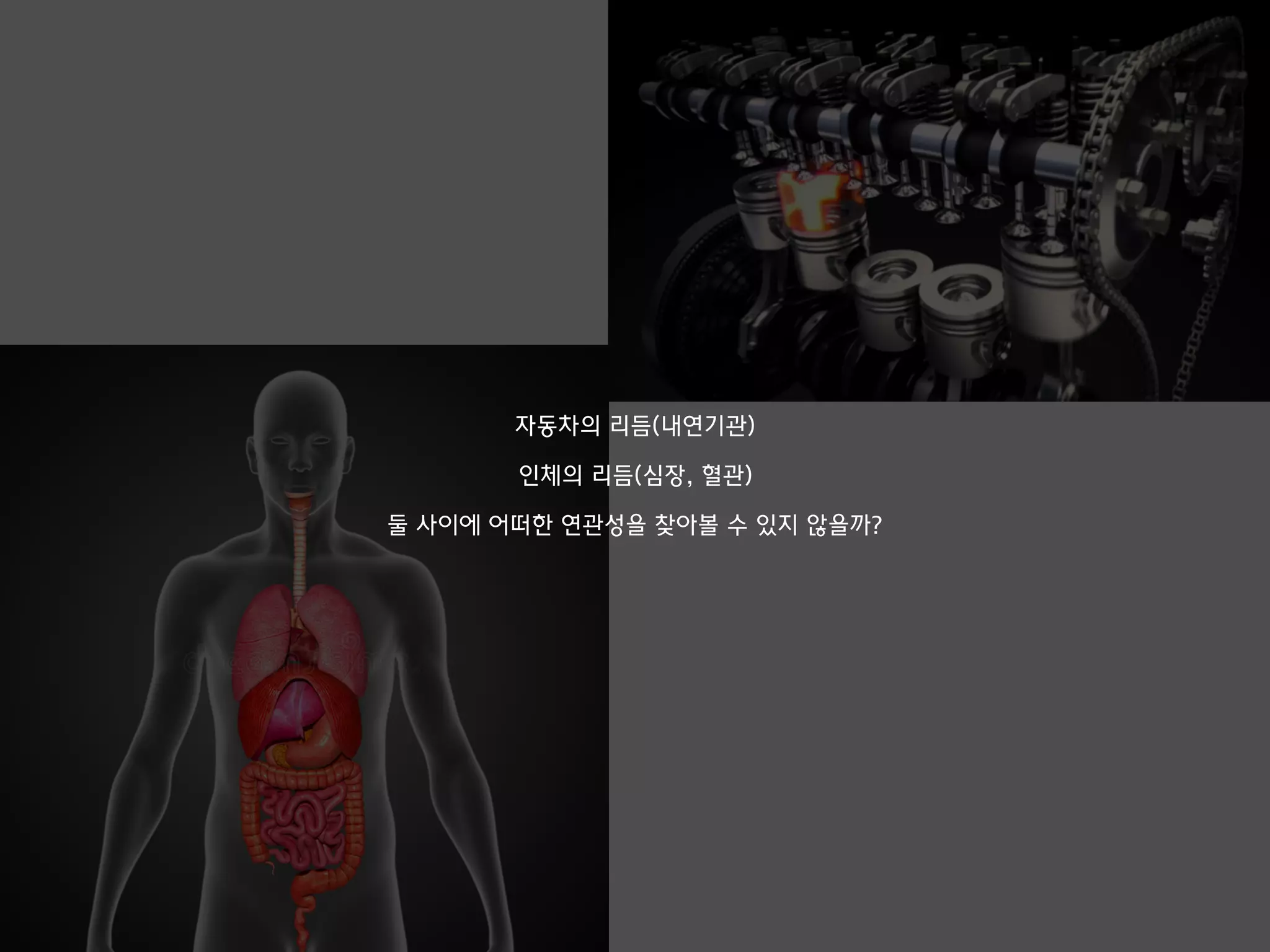 자동차의 리듬(내연기관)
인체의 리듬(심장, 혈관)
둘 사이에 어떠한 연관성을 찾아볼 수 있지 않을까?
 