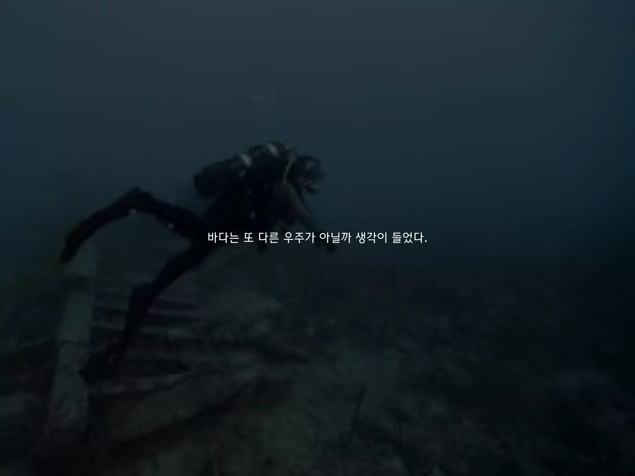 바다는 또 다른 우주가 아닐까 생각이 들었다.
 