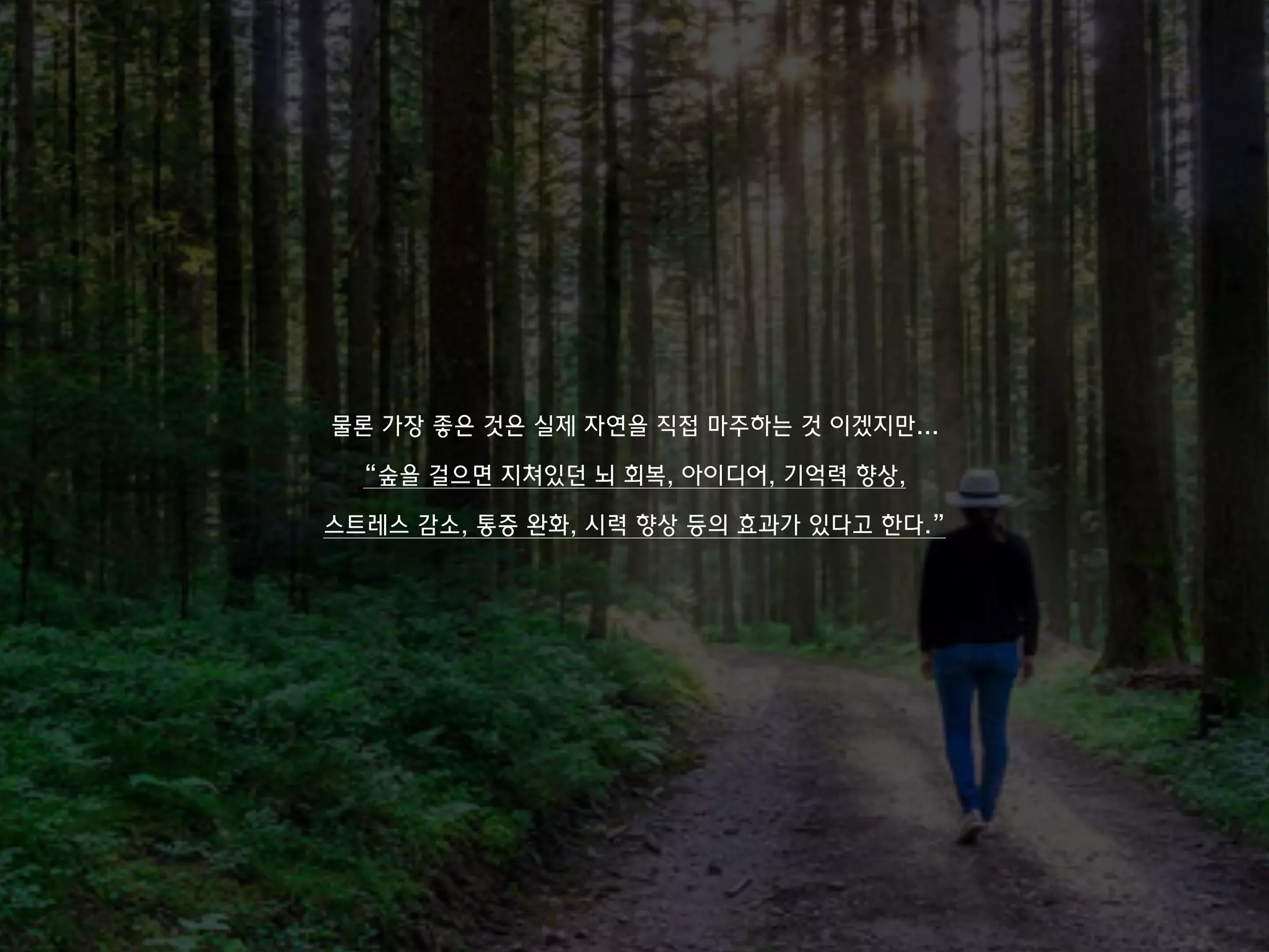 물론 가장 좋은 것은 실제 자연을 직접 마주하는 것 이겠지만...
“숲을 걸으면 지쳐있던 뇌 회복, 아이디어, 기억력 향상,
스트레스 감소, 통증 완화, 시력 향상 등의 효과가 있다고 한다.”
 