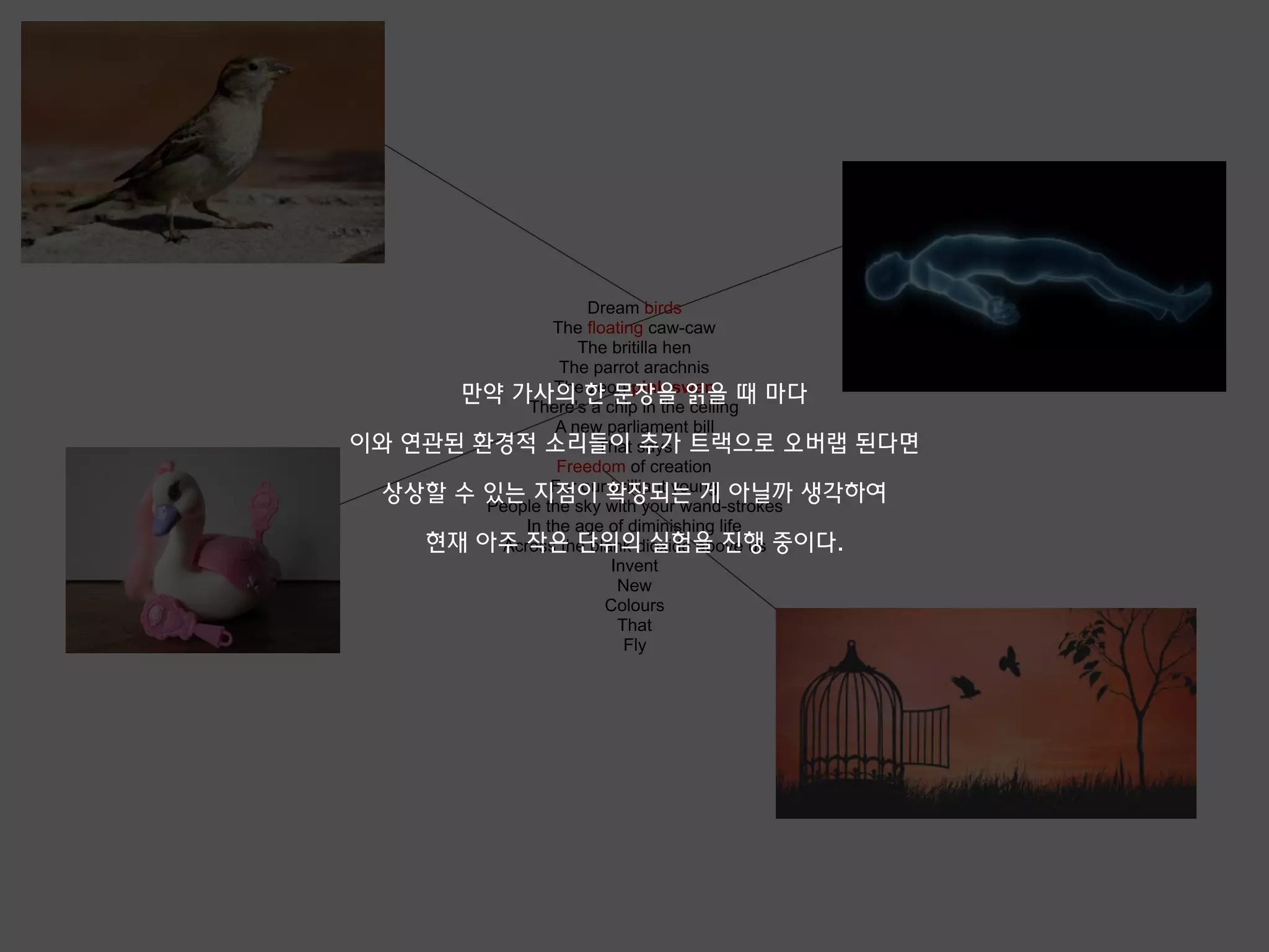 Dream birds
The floating caw-caw
The britilla hen
The parrot arachnis
The zeon pink swan
There's a chip in the ceiling
A new parliament bill
That says
Freedom of creation
For our brilliant young
People the sky with your wand-strokes
In the age of diminishing life
Across the blank dioxide above us
Invent
New
Colours
That
Fly
만약 가사의 한 문장을 읽을 때 마다
이와 연관된 환경적 소리들이 추가 트랙으로 오버랩 된다면
상상할 수 있는 지점이 확장되는 게 아닐까 생각하여
현재 아주 작은 단위의 실험을 진행 중이다.
 