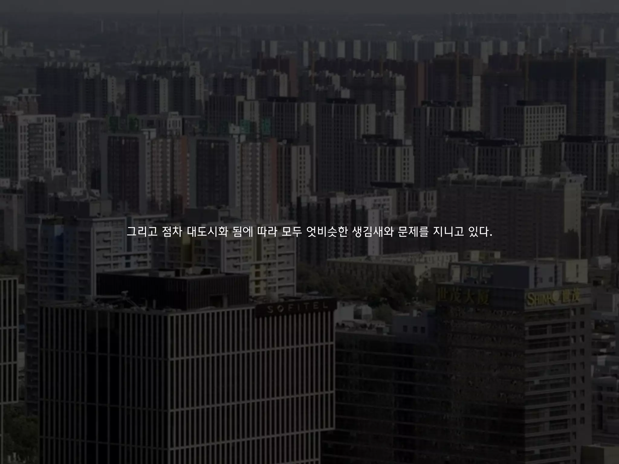 그리고 점차 대도시화 됨에 따라 모두 엇비슷한 생김새와 문제를 지니고 있다.
 