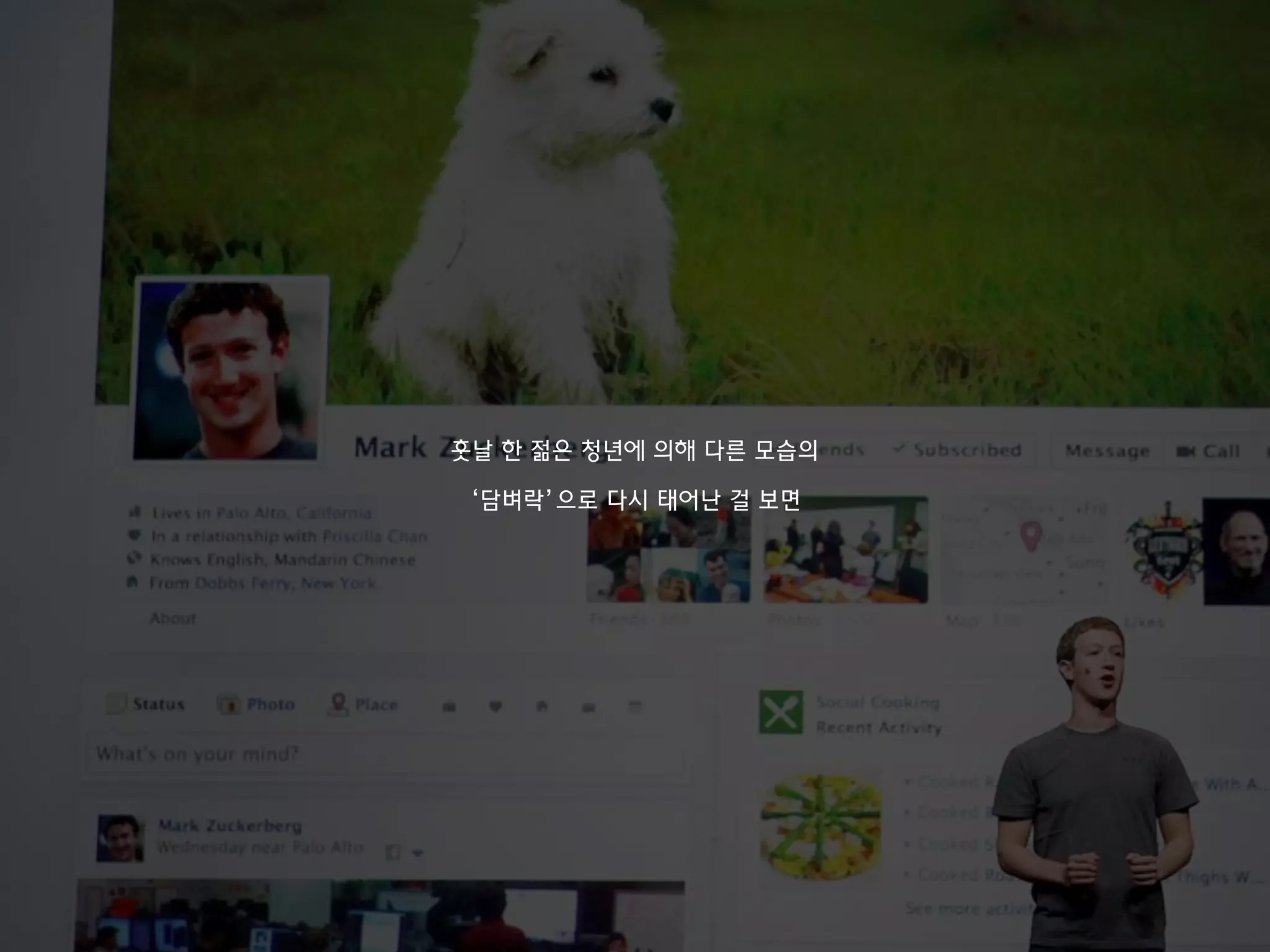 훗날 한 젊은 청년에 의해 다른 모습의
‘담벼락’으로 다시 태어난 걸 보면
 