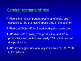 0719 System of Rice Intensification in Andhra Pradesh | PPT