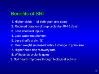 Benefits of SRI 1. Higher yields –  of both grain and straw 2. Reduced duration of crop cycle (by 10-15 days) 3. Less chem...
