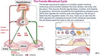 27-1
The Female Menstrual Cycle
The female reproductive system is a complex system involving
continuous communication between the brain centers, the ovary, and
the uterus. This ensures that the egg develops, ovulates, and implants
for pregnancy. Hormones secreted by the hypothalamus-pituitary-ovary
(HPO) axis regulate the monthly cycle and pregnancy. We will go in
detail how this regulation works. For now, I want you to see how the
HPO regulates the changing hormones of the menstrual cycle below.
We will dissect apart the cycle to help you understand.
Hypothalamus
GnRH
AP
ovary ovary
uterus
LH
FSH
LH
FSH
Estrogen
Progesterone
Estrogen
Progesterone
inhibin
Estrogen
 