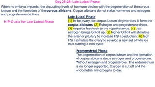 H-P-O axis for Late Luteal Phase
When no embryo implants, the circulating levels of hormone decline with the degeneration of the corpus
luteum and the formation of the corpus albicans. Corpus albicans do not make hormones and estrogen
and progesterone declines.
Day 25-28: Late Luteal Phase
Late-Luteal Phase
(1) In the ovary, the corpus luteum degenerates to form the
corpus albicans. (2) Estrogen and progesterone drops.
(3) negative feedback to the hypothalamus. (4) Low
estrogen brings GnRH up. (5) higher GnRH will stimulate
the anterior pituitary to increase FSH production. (6) high
FSH stimulate the ovary to develop a new set of follicles
thus starting a new cycle.
Premenstrual Phase
The degeneration of corpus luteum and the formation
of corpus albicans drops estrogen and progesterone.
Without estrogen and progesterone. The endometrium
is no longer supported. Oxygen is cut off and the
endometrial lining begins to die.
 