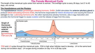 The length of the menstrual cycle varies from woman to woman. The average cycle is every 28 days, but 21 to 40
days, are normal.
The Hypothalamus and the Pituitary
The hypothalamus release gonadotropin releasing hormone, GnRH. GnRH stimulates the anterior pituitary gland to
produce follicle stimulating hormone (FSH), the hormone responsible for follicle development and causing the level of
estrogen to rise. Luteinizing hormone (LH), the other reproductive pituitary hormone, aids in egg maturation and
provides the hormonal trigger to cause ovulation and the release of eggs from the ovary.
The Female Menstrual Cycle
Graph of
Hormones
made by the
anterior
pituitary
(gonadotropins =
FSH and LH)
FSH and LH cycles through the menstrual cycle. FSH is high when follicles need to develop. LH is the same level
during non-ovulation days. LH surges during ovulation on day 14 in a 28 day cycle.
 