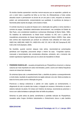 www.aptaregional.sp.gov.br
ISSN 2316-5146
Pesquisa & Tecnologia, vol. 11, n. 1, Jan-jun 2014
Os tecidos doentes apresentam manchas marrom-escuras que se expandem, podendo se
unir e cobrir toda a superfície da folha ou do fruto. As inflorescências e frutos verdes
atacados secam e permanecem na árvore de um ano para o outro, enquanto os maduros
podem cair prematuramente, comprometendo sua qualidade. A ocorrência da doença é
favorecida pelas injúrias de pragas, como ácaros e tripes.
O controle resume-se na poda de limpeza com a destruição dos galhos e ramos doentes e
controle de pragas. Variedades selecionadas demonstraram, nas condições do Estado de
São Paulo, uma considerável resistência à antracnose (Dierberger & Marino Netto, 1985).
Os trabalhos de melhoramento no Brasil foram iniciados no IAC com o plantio de
macadâmias provenientes do Hawaii Agricultural Experiment Station (HAES). Hoje, estes
dois centros são responsáveis por produzir as cultivares mais utilizadas em nosso país:
HAES 344, HAES 660, HAES 741, HAES 816 e IAC 121, IAC 4-12B, IAC Campinas B, IAC
9-20 e IAC 4-20 (Garbelini, 2009).
Na Austrália, quando ocorrem ataques mais sérios, recomendam-se pulverizações
periódicas com fungicidas, procurando atingir o interior da copa. Fungicidas cúpricos,
mancozeb e benzimidazóis são considerados eficientes, entretanto, até o momento não
existem agrotóxicos registrados para uso na cultura da macadâmia no Brasil.
 PODRIDÃO RADICULAR – causada principalmente por Phytophthora cinnamomi, a doença
costuma ser mais importante em solos mal drenados, porém, ocorre com relativa frequência
mesmo em áreas bem drenadas.
Os sintomas típicos são o amarelecimento foliar, a desfolha da planta e consequentemente
a morte desta, resultado do apodrecimento da região radicular e do colo. Sobre as lesões na
base do tronco pode ocorrer a liberação de goma.
Previne-se a doença evitando-se o plantio em solos sujeitos ao encharcamento, o
afogamento do colo no plantio das mudas, a irrigação em excesso e ferimentos no caule e
sistema radicular da planta. Em áreas com histórico da doença, recomenda-se pulverizar o
tronco com calda bordalesa e aplicação foliar de fosfito de potássio.
Sintomas na parte aérea da planta, semelhantes à podridão radicular de Phytophthora,
causados pelos fungos Armillaria luteobubalina e Kretzchmaria clavus e pela bactéria
 