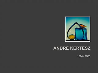 ANDRÉ KERTÉSZ
1894 - 1985
 