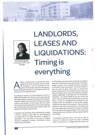 Landlords, Leases and Liquidations by Rorisang Mongoato