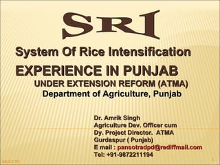 SRI EXPERIENCE IN PUNJAB UNDER EXTENSION REFORM (ATMA) Department of Agriculture, Punjab Dr. Amrik Singh  Agriculture Dev. Officer cum  Dy. Project Director.  ATMA Gurdaspur ( Punjab) E mail :  [email_address] Tel: +91-9872211194 System Of Rice Intensification  08/03/09 