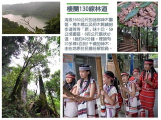 棲蘭130線林道
海拔1650公尺的迷你神木園
區。獨木橋以及用木屑鋪的
步道等等「原」味十足。50
公頃園區，8百公尺環狀步
道，1趟約40分鐘。裡頭有
20多棵4百到1千歲的神木，
由在地原住民擔任解說員。
 