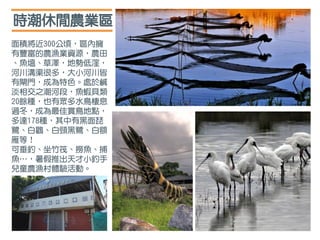面積將近300公頃，區內擁
有豐富的農漁業資源，農田
、魚塭、草澤，地勢低漥，
河川溝渠很多，大小河川皆
有閘門，成為特色。處於鹹
淡相交之潮河段，魚蝦貝類
20餘種，也有眾多水鳥棲息
過冬，成為最佳賞鳥地點，
多達178種，其中有黑面琵
鷺、白鸛、白頸黑鷺、白額
雁等！
可垂釣、坐竹筏、撈魚、捕
魚…，暑假推出天才小釣手
兒童農漁村體驗活動。
時潮休閒農業區
 