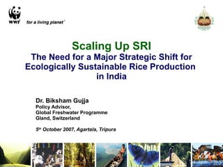 Scaling Up SRI The Need for a Major Strategic Shift for Ecologically Sustainable Rice Production  in India Dr. Biksham Gujja Policy Advisor, Global Freshwater Programme Gland, Switzerland 5 th  October 2007, Agartala, Tripura 