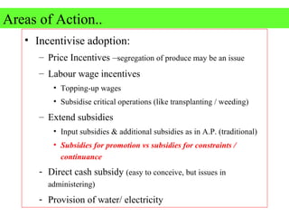 0725 Promotional Policies for the System of Rice Intensification | PPT
