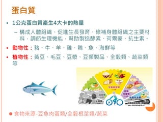 蛋白質
• 1公克蛋白質產生4大卡的熱量
– 構成人體組織、促進生長發育、修補身體組織之主要材
料，調節生理機能，幫助製造酵素、荷爾蒙、抗生素。
• 動物性：豬、牛、羊、雞、鴨、魚、海鮮等
• 植物性：黃豆、毛豆、豆漿、豆類製品、全穀類、蔬菜類
等
 食物來源-豆魚肉蛋類/全穀根莖類/蔬菜
 