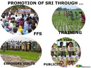 PROMOTION OF SRI THROUGH … FFS TRAINING EXPOSURE VISITS PUBLICITY 